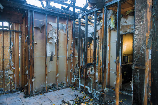 Professional Odor Removal technician working in Anoka, MN
