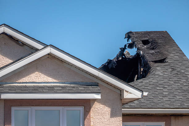 Top rated local Odor Removal specialists in Anoka, MN